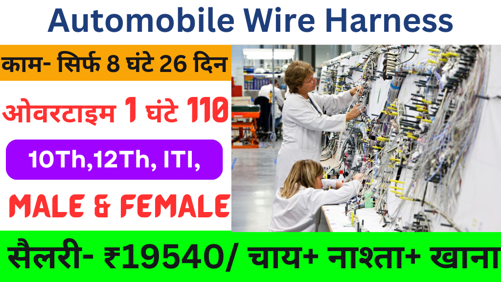 Automobile Company job Vacancy Ahmedabad Job Vacancy 2024