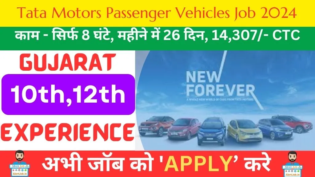 Tata Motors Passenger Vehicles Job 2024