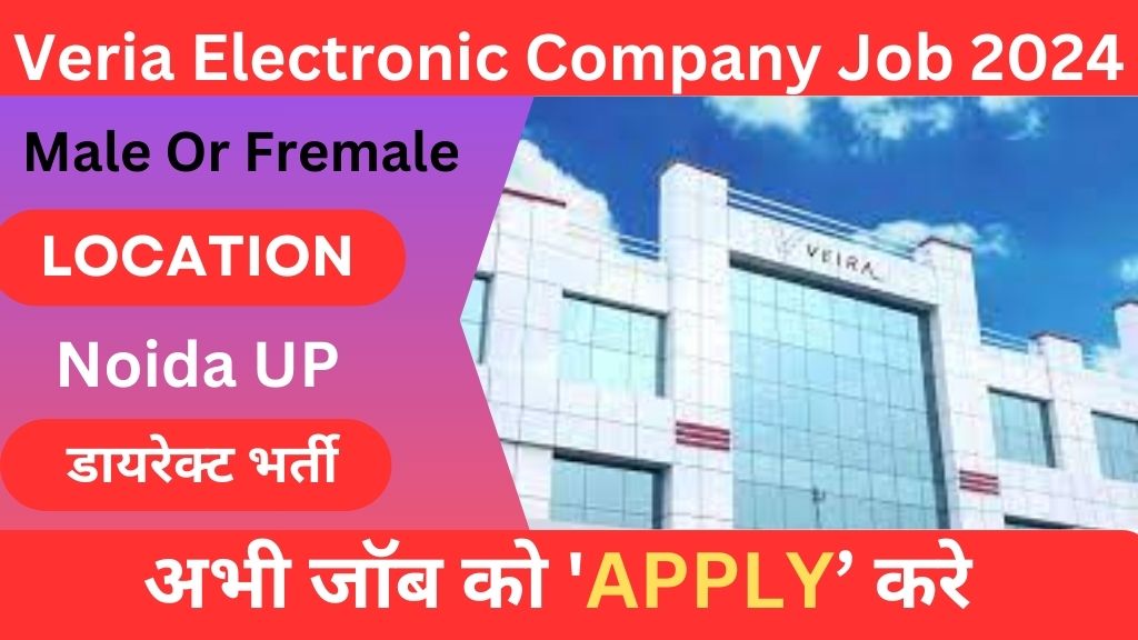 Veria Electronic Company Job Vacancy 2024