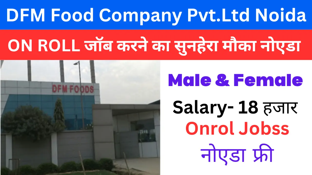 DFM Food Company Job Vacancy 2024