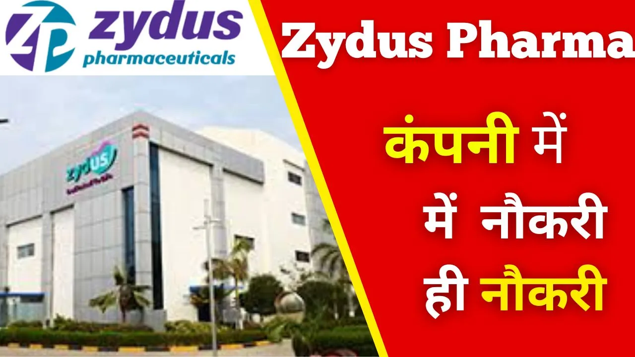 Zydus Pharmaceuticals Company Job 2024