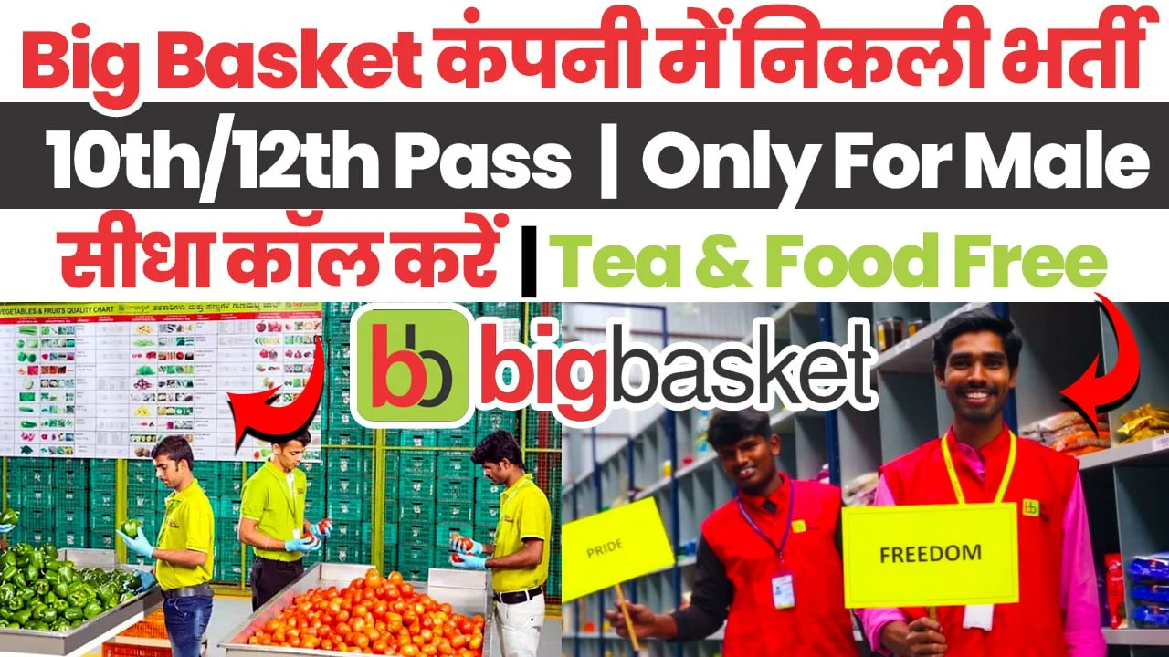 Bigbasket Job Vacancy 2024