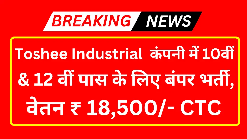 Toshee Industrial Job Recruitment 2024