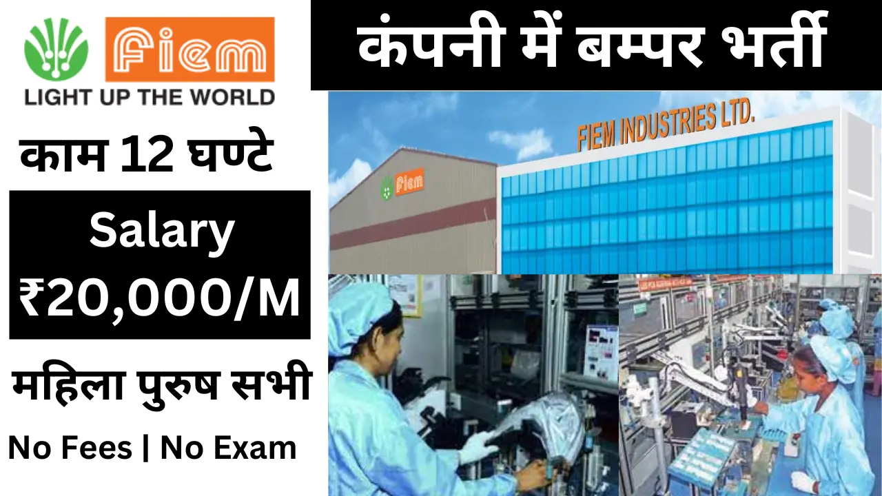 Fiem Industries Job Vacancy 2025