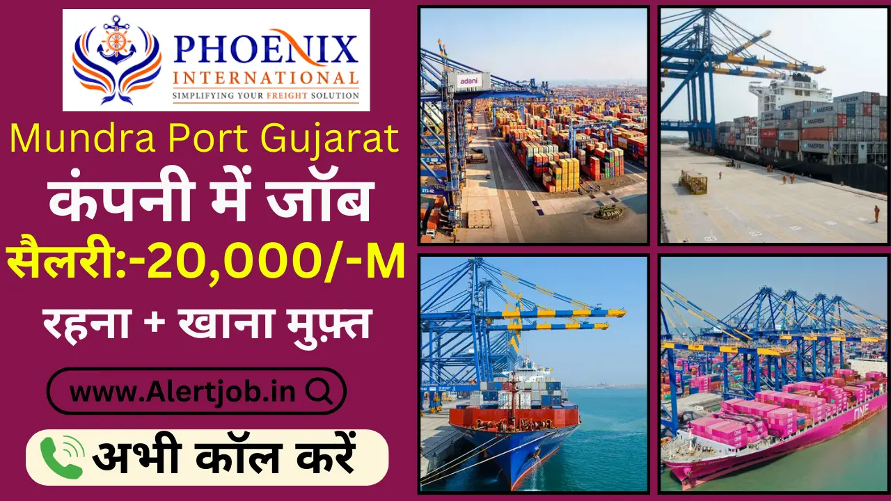 Phoenix International Mundra Job Vacancy 2024