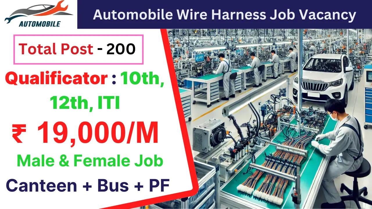 Automobile Wire Harness Job Vacancy