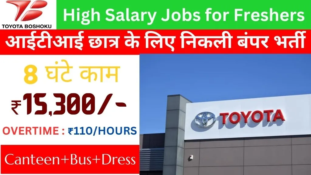 High Salary Jobs for Freshers