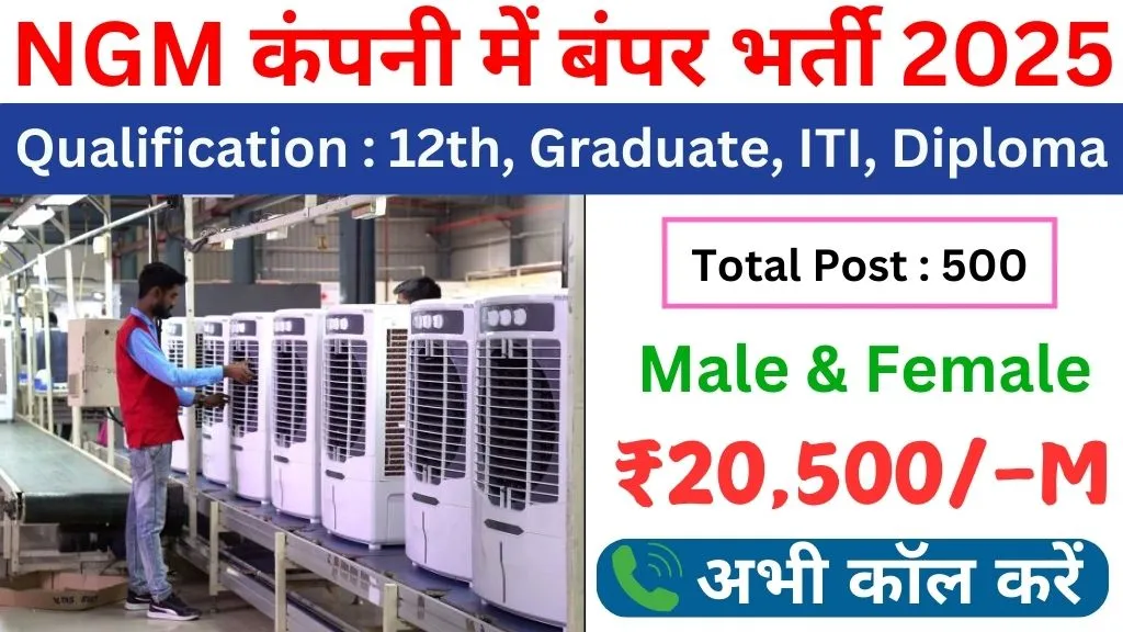 NGM Company Recruitment 2025