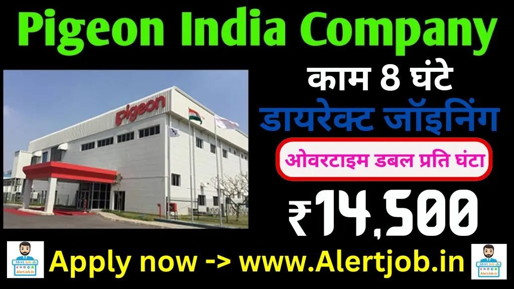 Pigeon India Job Opening 2025