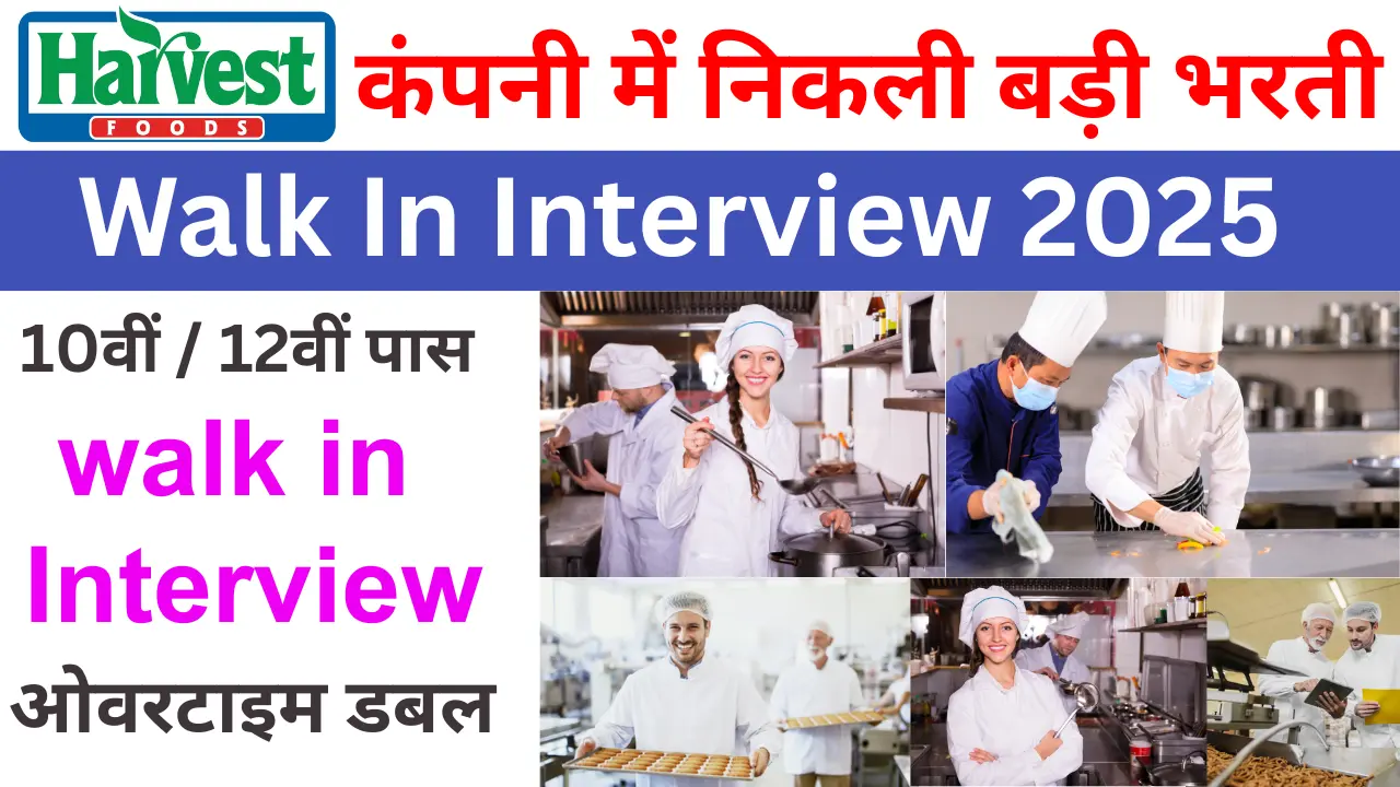 Harvest Food Company Noida Job 2025