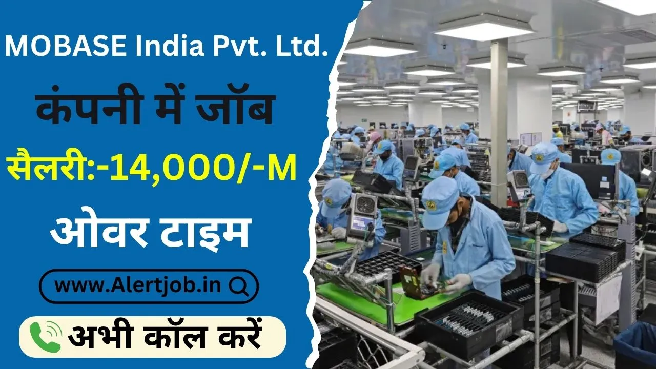 Mobase Mobile Company Job Vacancy 2025