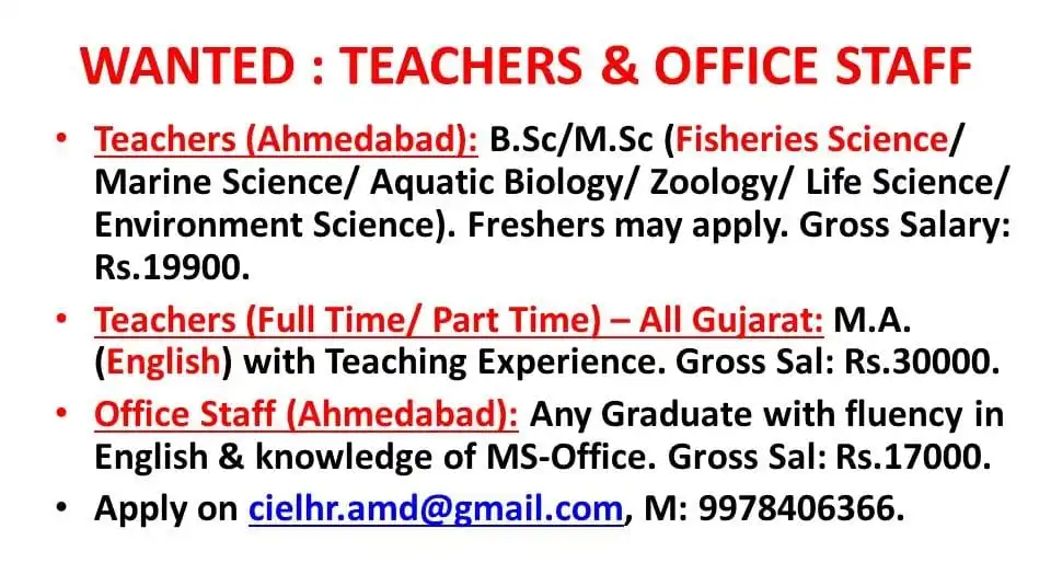 R SQUARE HR SERVICES R Square HR Services Job Vacancy 2025 Job Vacancy