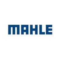 Mahle Anand Thermal System Pvt. Ltd. Logo